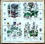 Botanical Mural, Secret Garden, Panel 3