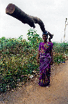 Woman Carrying a Tree on her Head, Tamil Nadu